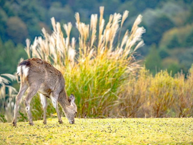 ご予約はお早めに…イメージ